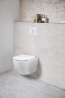 Унитаз подвесной Globo VT1-14 безободковый, цвет белый, ультратонкое soft-close сиденье - Gidratop.ru изображение