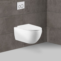 Унитаз подвесной Evo VT1-34 безободковый, цвет белый, ультратонкое soft-close сиденье - Gidratop.ru изображение