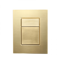 Кнопка смыва для инсталляции пневматическая WONZON & WOGHAND, Брашированное золото (WW-IB256-BG) - Gidratop.ru изображение