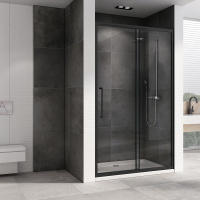 Душевая дверь ABBER Schwarzer Diamant AG30100BH - Gidratop.ru изображение