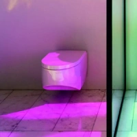 Унитаз подвесной Laufen Sonar 8.2034.1.757.000.1 безободковый, цвет белый матовый - Gidratop.ru изображение