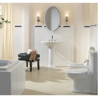 Раковина Villeroy&Boch Amadea 7185LGR1, 78 см, фарфор, белая - Gidratop.ru изображение