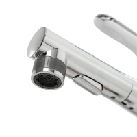 Смеситель с выдвижным изливом, хром BB-LVMD-CRM-W0 - Gidratop.ru изображение