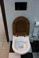 Подвесной унитаз Villeroy&Boch Hommage 6661B0R1, белый - Gidratop.ru изображение