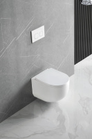 Унитаз подвесной Tornado Globo VT1-52T безободковый, цвет белый, ультратонкое soft-close сиденье - Gidratop.ru изображение